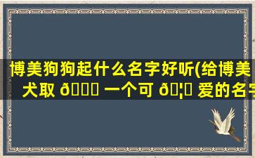 博美狗狗起什么名字好听(给博美犬取 🐎 一个可 🦋 爱的名字)